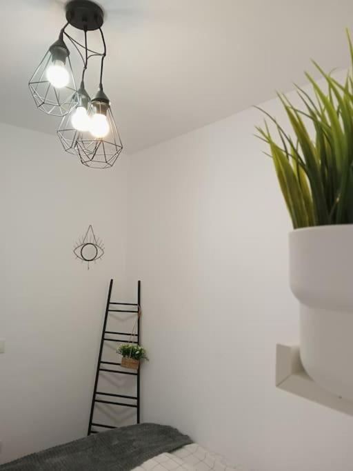 Precioso Apartamento Con Terraza En Piso Superior Los Realejos Exteriér fotografie